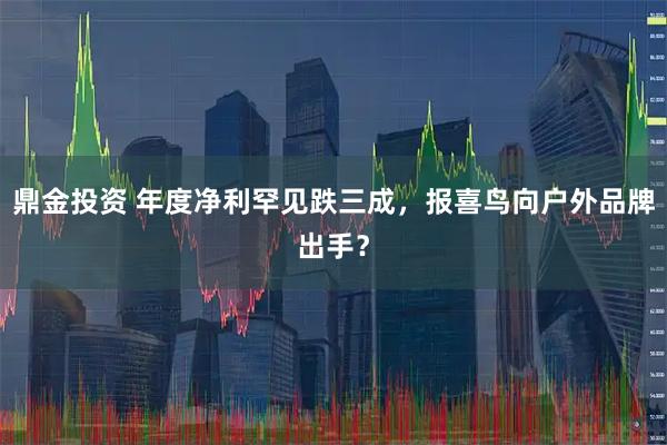 鼎金投资 年度净利罕见跌三成，报喜鸟向户外品牌出手？