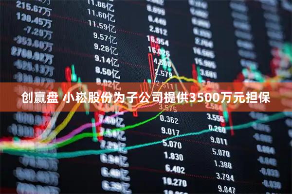 创赢盘 小崧股份为子公司提供3500万元担保